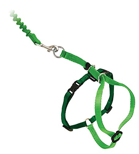 PetSafe Come with Me Kitty Harness and Bungee Leash, Large, Lime