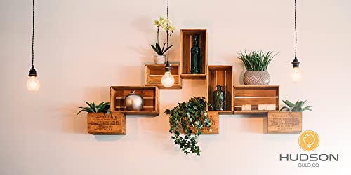 Hudson 6W Edison Led Light Bulbs G25 Globe Shape (4 Pack) - 3000K Warm Light Dimmable Room Décor Soft White Light Bulbs (60W Equivalent) - E26/E27 Standard Base Vanity Mirror Light Bulb #TOP7