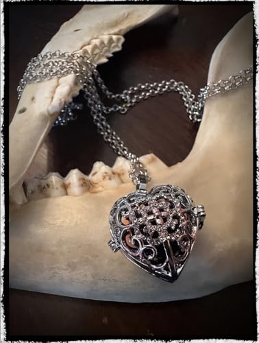 Heart Locket Blood Vial Necklace Kit - Create a Victorian-Inspired, One-of-a-Kind Handmade Necklace - Symbolic and Meaningful2
