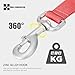 SMALL COMBINATION Pet Leash with Pockets, Multiple Handles Design, Chain Rope Breathable Mesh Lining Training Control Pet Walking Lead for All Breeds (Watermelon Red, M)