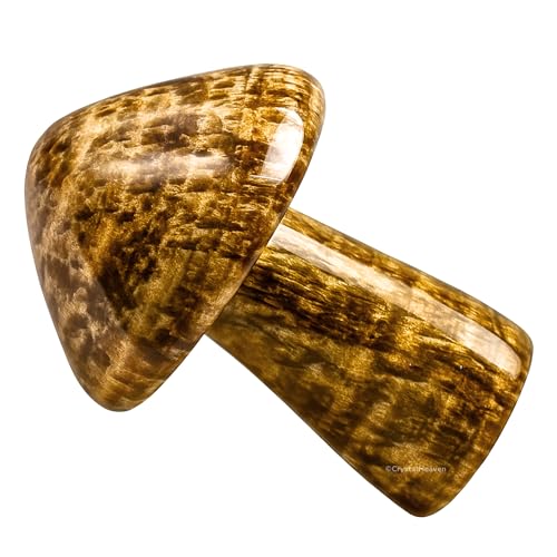 Image of Certified Aragonite Crystal Mushroom - Crystal Palm Stone for Reiki Healing, Energy Chakra Balancing, Meditation Yoga Agate Stone - Feng Shui Spiritual Gift for Pooja