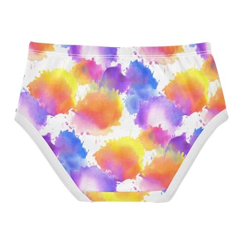 Joisal Fun Print Toddlers Underwear Floral 2t Cotton Panties Little Girl Abstract Watercolor Colorful Undies Kids Briefs2