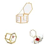 cristales para decorar zapatos ♔ 【Caja de vidrio de joyería】: utiliza materiales metálicos y de vidrio de alta calidad para garantizar una larga vida útil de soldadura sin fisuras de soportes, bordes de latón y vidrio transparente, sin luz, sin óxido y a prueba de polvo. Puedes limpiarlo con un paño húmedo.
