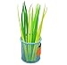 Yansanido Pack of 12 Forest Yellow Green Grass-blade Ballpoint Black 0.38mm Cartoon Fresh Star Diamond Color Gel Pen (12black)