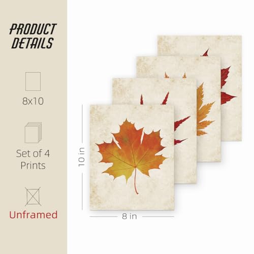 ETVISO-Fall-Wall-Decor-Set-of-4-Vintage-Maple-Leaf-Wall-Art-Prints-Rustic-Autumn-Fall-Decor-for-Thanksgiving-Home-Gallery-Living-Room-Bedroom-8×10-Unframed ETVISO Fall Wall Decor Set of 4 Vintage Maple Leaf Wall Art Prints Rustic Autumn Fall Decor for Thanksgiving Home Gallery Living Room Bedroom 8×10 Unframed