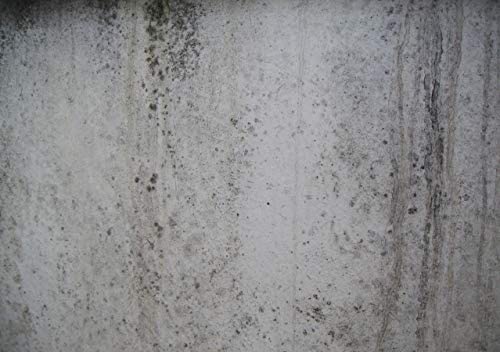 Miniatura 6 de Jovira Pinturas Antihumedad Antisalitre. Pintura Blanco Mate. Impermeabiliza, Protege Y Aísla Fachadas, Muros, Paredes. 750 Mililitros, Antisalitre K-28a