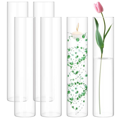 6 Pack Glass Cylinder Vases 16 Inch Tall Clear Flower