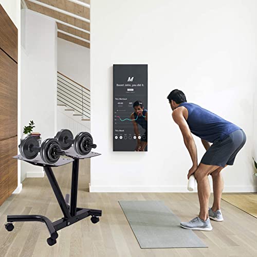 Kweetle Dumbbell Stand Metal 220Lbs Dumbbell Rack Stand Only Fixed Seat Belt Weight Stand For Dumbbells For Home Workout Gym(Only Stand) #TOP3