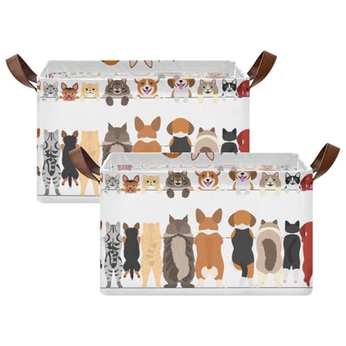 Kjovgcb `[oXPbgrAU[nht܂肽ݎ{bNXALb`poXPbgI[KiCU[ 16.9x11.4x10C` vg ^ ^ L OʂƔw