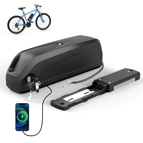 Ebike Akku mit Smart BMS, E Bike Aakku mit Schnellladegerät, USB-Anschluss, DE-Lager, 36V 15Ah...