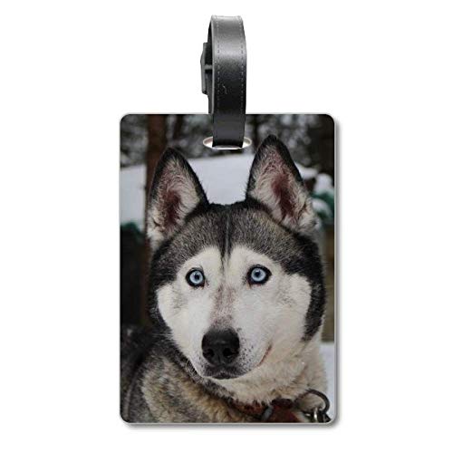 Étiquette valise voyage Husky pour identification bagage avion