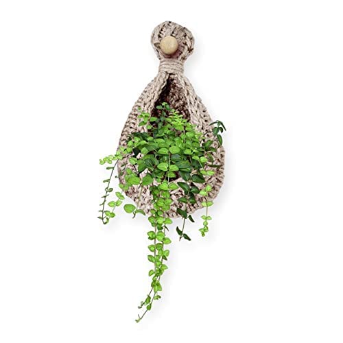SHIROLI® Jute Hanging Wall Planters Jute Wall Hanging Basket Wall Hanging Planter Cum Baskets (B09MFPGRVY) Amazon Price History, Amazon Price Tracker