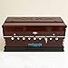 Harmonium Musical Instrument, Maharaja Musicals, 9 Stops, 3 1/2 Octave, Double Reed, Coupler, Dark Mahogany, 2024-25 Model, Standard, Padded Bag, A440 Tuned, Indian Sangeeta Harmonium - DC
