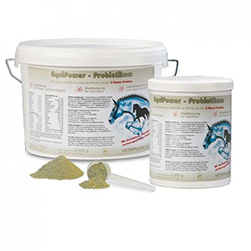 Probiotique 2000 g formule hautement assimilable pour l'équilibre de la flore