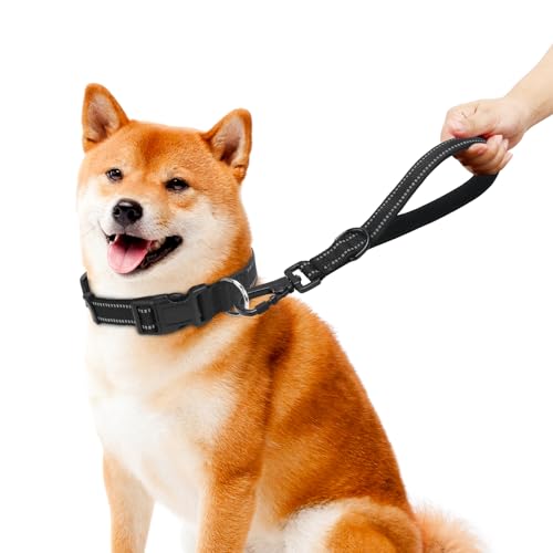 Short Dog Leash-12 Inch Traffic Dog Leash,Training Leash with Retroreflective Stripes and Carabiner Clip,Suitable for Controlling and Training Medium and Large Dogs (Black) Short Dog Leash-12 Inch Traffic Dog Leash,Training Leash with Retroreflective Stripes and Carabiner Clip,Suitable for Controlling and Training Medium and Large Dogs (Black)