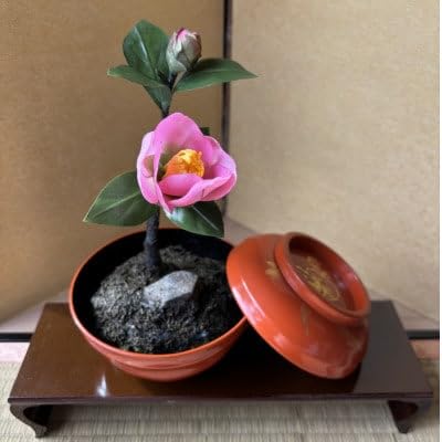 (冬 わびすけつばき)四季を彩る創作草もの盆栽(工芸品)〜工房椿