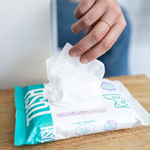 Nice 'N Clean Secureflush Adult Flushable Wipes | Moist Toilet Tissue With Moisturizing Aloe & Vitamin E, 42 Count, Pack Of 6 #TOP5