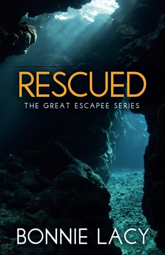 Rescued view 2