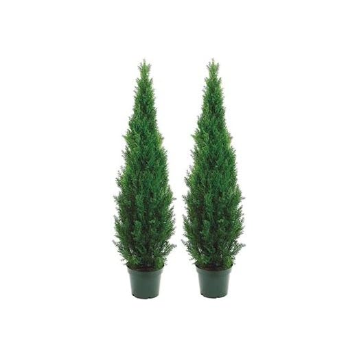 Two 5 Foot Outdoor Artificial Cedar Topiary Trees Potted Plants Two Peace Construction