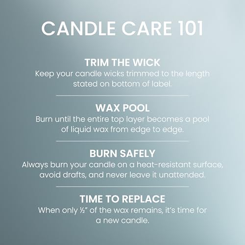 Yankee Candle Large Jar Scented Candle with up to 150 Hour Burn Time, Premium Plant Wax Blend for Consistent Burn, 22 oz Jar Candle with Room Filling Fragrance, Beach Walk
