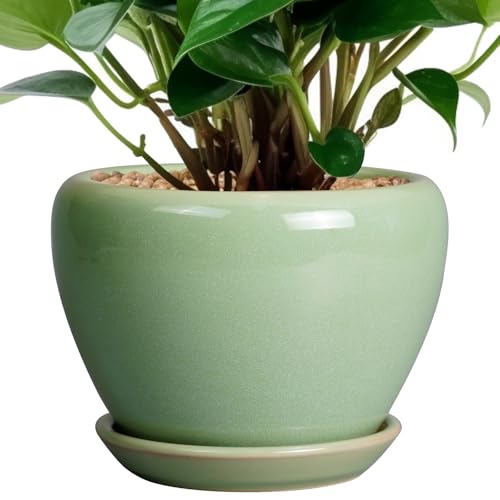 Ceramicfor Modern Green Pot