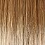 GL15-26SS Shaded Buttered Toast