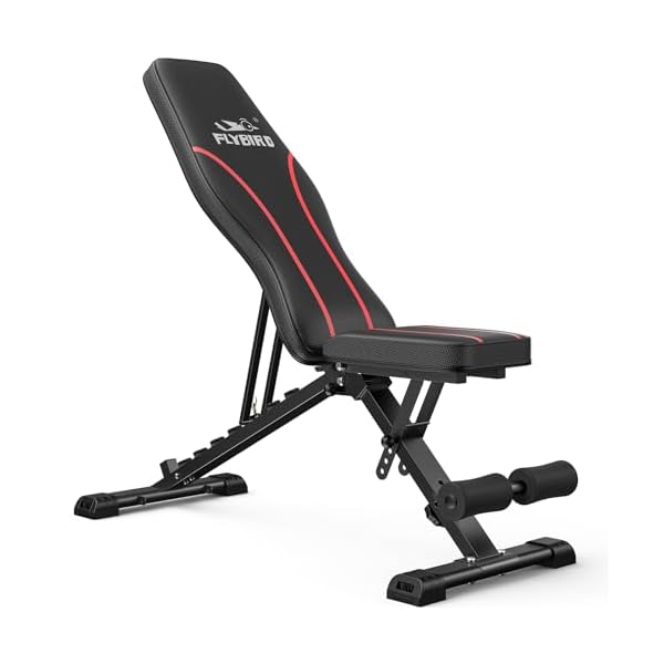 FLYBIRD Adjustable Bench,Utility Weight Bench for Full Body Workout- Multi-Purpose Foldable Incline Bench (Black)