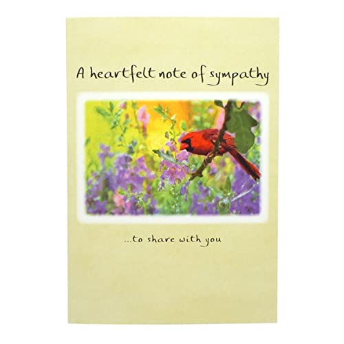 Blue Mountain Arts Sympathy Card Assortment—2 Unique Greeting Cards With Words Of Comfort To Send Your Deepest Condolences #TOP3