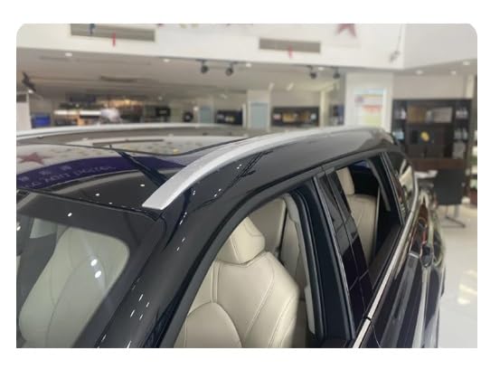 Baca de coche para solucionar la falta de espacio en techo de Highlander XU70 2