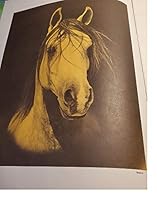 Ride a Fine Horse B002D1OQYA Book Cover