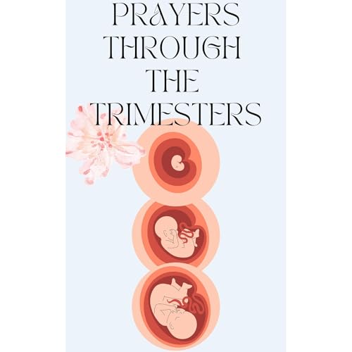 Prayers Through the Trimesters by P Davis episode artwork