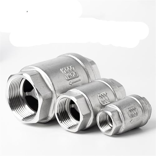 Pompe à eau sans désamorçage grâce au clapet anti-retour vertical inox