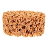 EPIGEIST Esponja para Pintura Texturizada Diseño de Alga Marina Herramienta de Esponja de Impresión Artística Grande Reutilizable y Ergonómica para Manualidades Decoración y Pintura