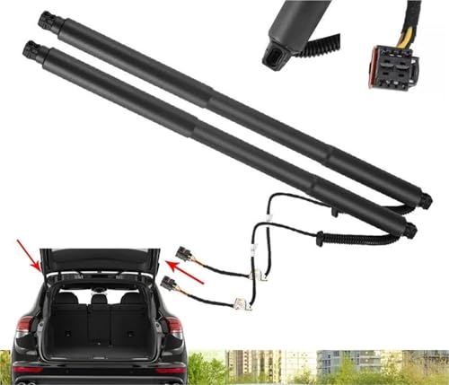 Vérins à gaz électriques de hayon arrière pour Cayenne 92A support de levage