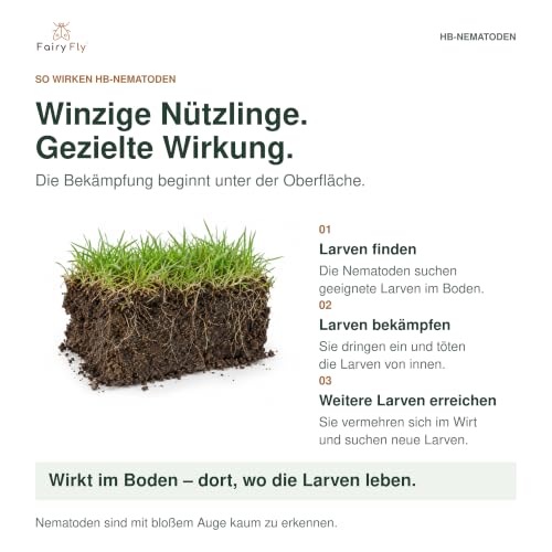 HB Nematoden gegen Dickmaulrüssler & Engerlinge - 15 Mio Nützlinge für 30 m² Schädlinge - FairyFly® – Ansicht 3