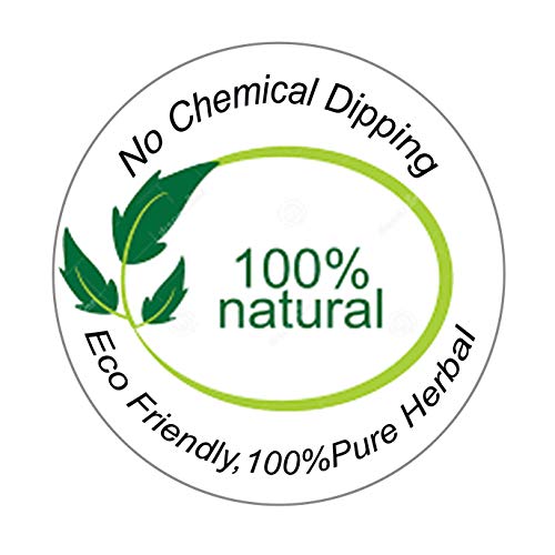Raajsee Incense Sticks 15 Sticks X 5 Pack -100% Pure Organic Natural- Hand Rolled Free From Chemicals -Perfect For Church Aromatherapy thumb #2