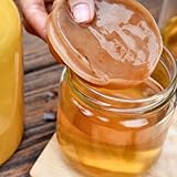 GIANT Organic SCOBY, make upto 5 Litres of Fizzy Kombucha at Home. Instructions included.