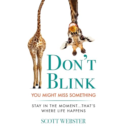 DON'T BLINK Audiolibro Por SCOTT WEBSTER arte de portada