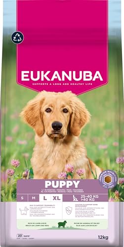 Eukanuba Welpenfutter mit Lamm und Reis für große Rassen - Premium Trockenfutter für Junior Hunde, 12 kg Eukanuba Welpenfutter mit Lamm und Reis für große Rassen - Premium Trockenfutter für Junior Hunde, 12 kg