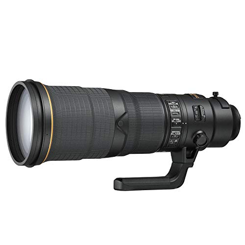 NIKKOR 500mm 単焦点レンズ 41WTh9WgoUL.jpg