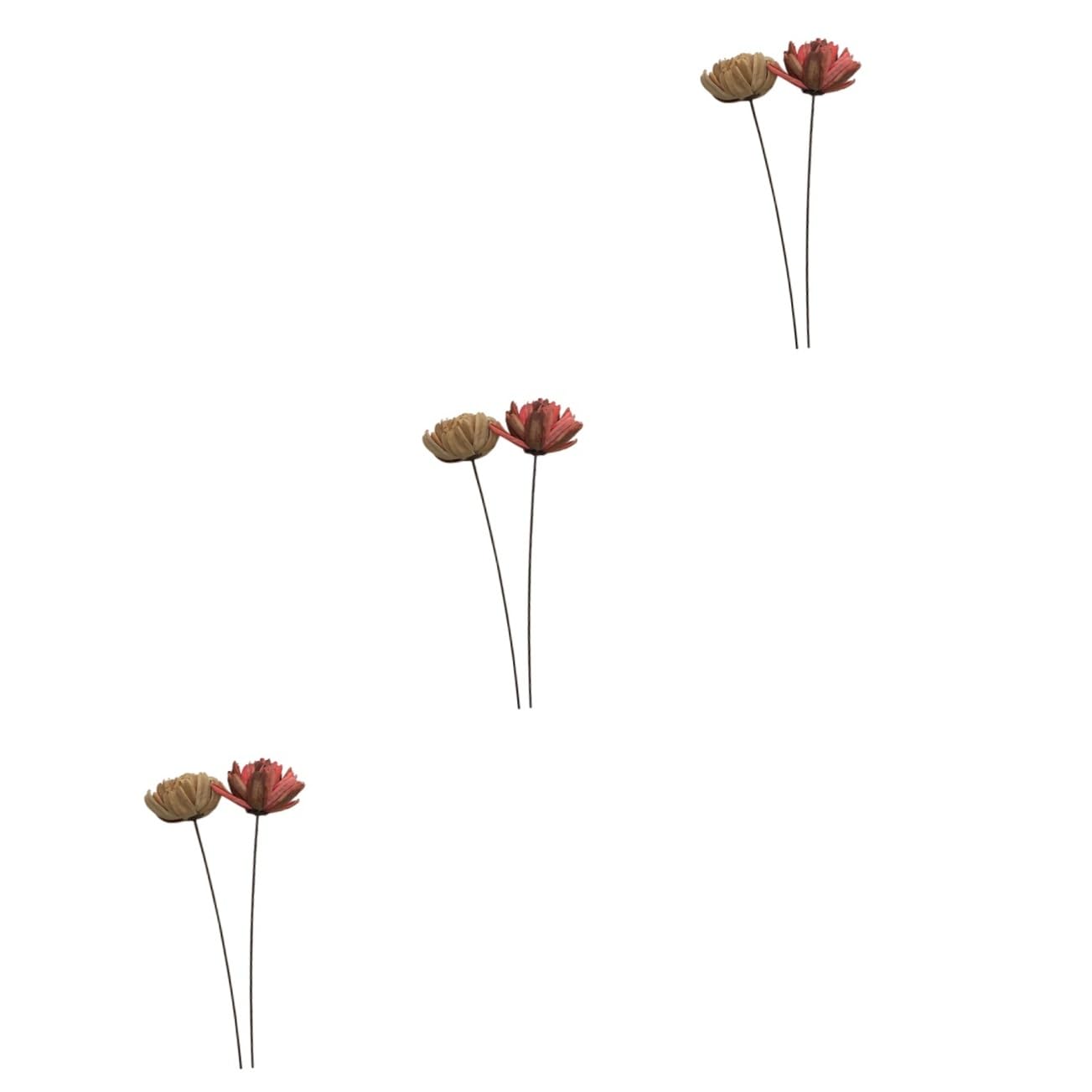 Alipis 6piezas Ramo De Flores Secas Adorno Floral Natural para Decoración De Hogar y Bodas Accesorio para Fiestas y Celebraciones Sin Mantenimiento y Larga Duración