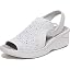 Oyster Grey Sparkle