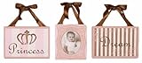 Daniella Canvas Wall Art and Hanging Frame - Set of 3
