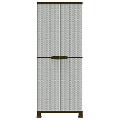 Armoire en plastique pour organiser le garage et le bureau avec style