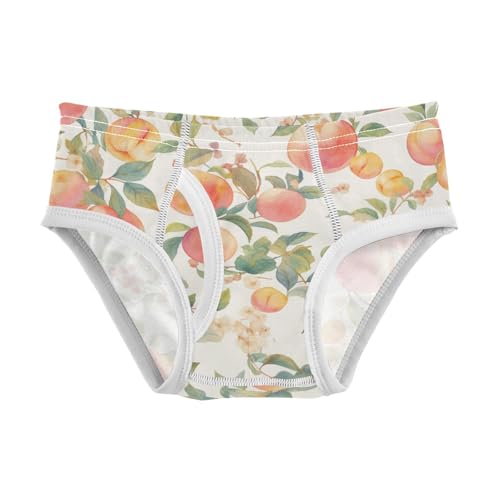KLL Watercolor Peaches Toddler Boys Comfort Underwear Cute Children Undies
