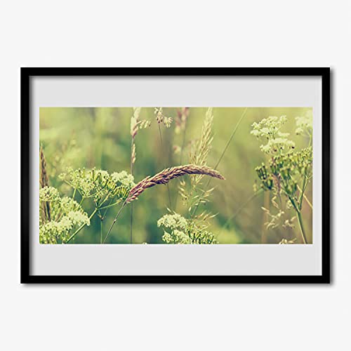 Affiche avec cadre 70x50 nature plante pour une déco de salon apaisante
