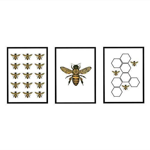 Déco salon chaleureuse : triptyque art mural insecte rétro sans cadre 60x80