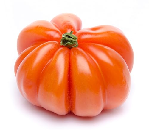 Graines de Tomate Cœur de Bœuf – 25 graines sélectionnées à la main – Variété charnue et riche en goût – Cultivée sous le soleil du Portugal – Love my Nature