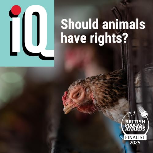 Should animals have rights?