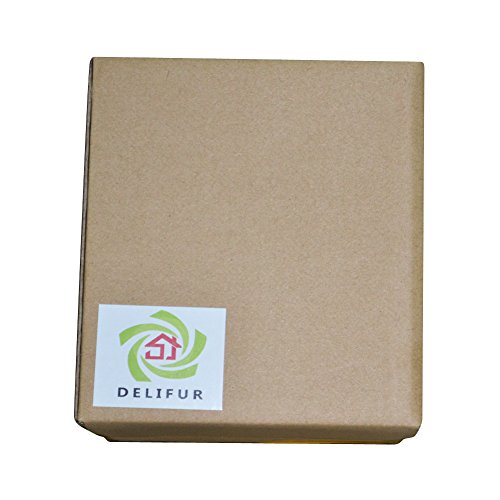 Delifur Porcelain Chinese Long-Quan Celadon Teacup,Kungfu Teacup, Fishes And Lotus Pattern,Set Of 5 #TOP5